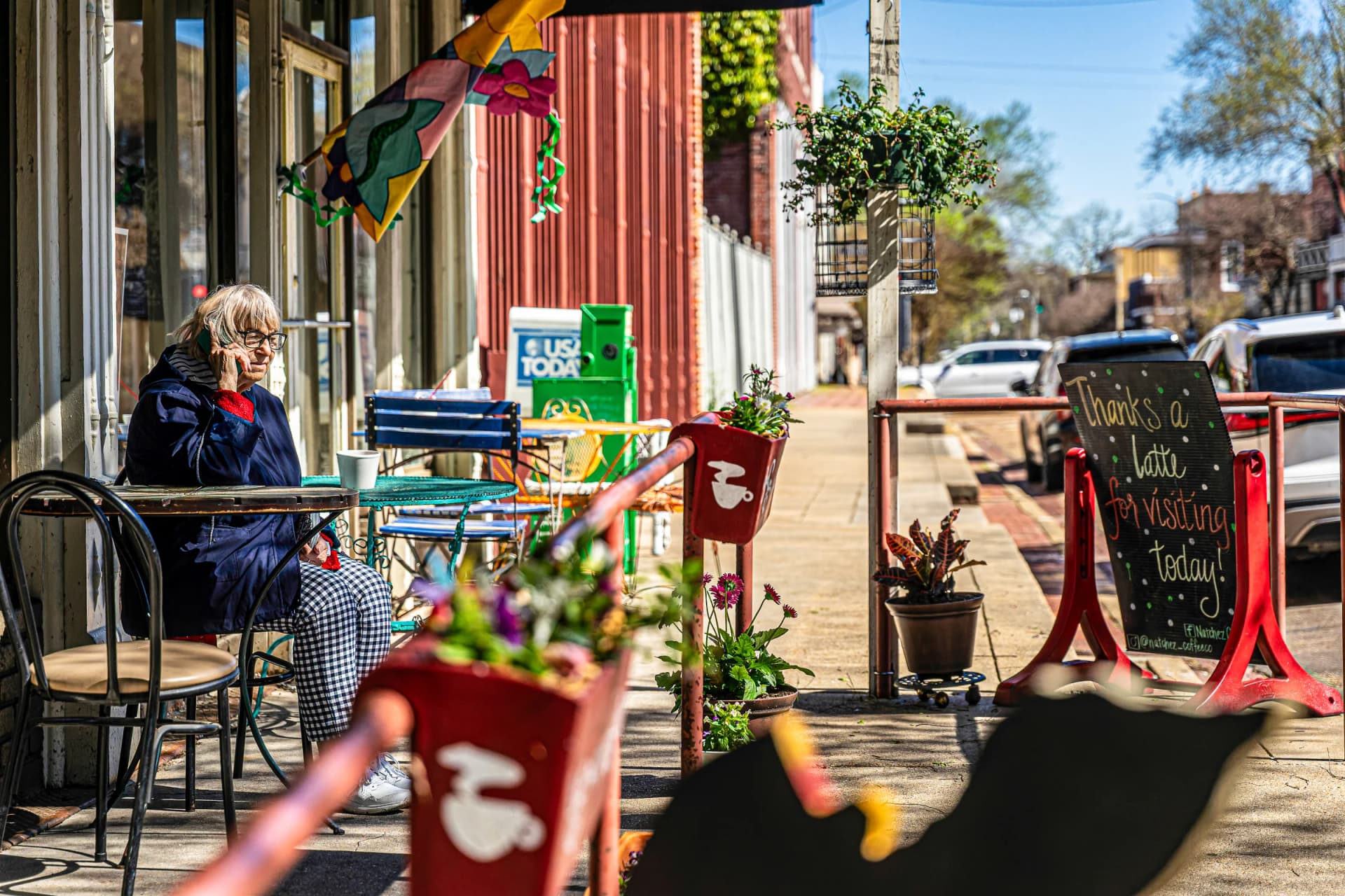 Live oak canopy over Ocean Springs street